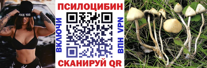 Галлюциногенные грибы Cubensis  Купить  Сольцы 